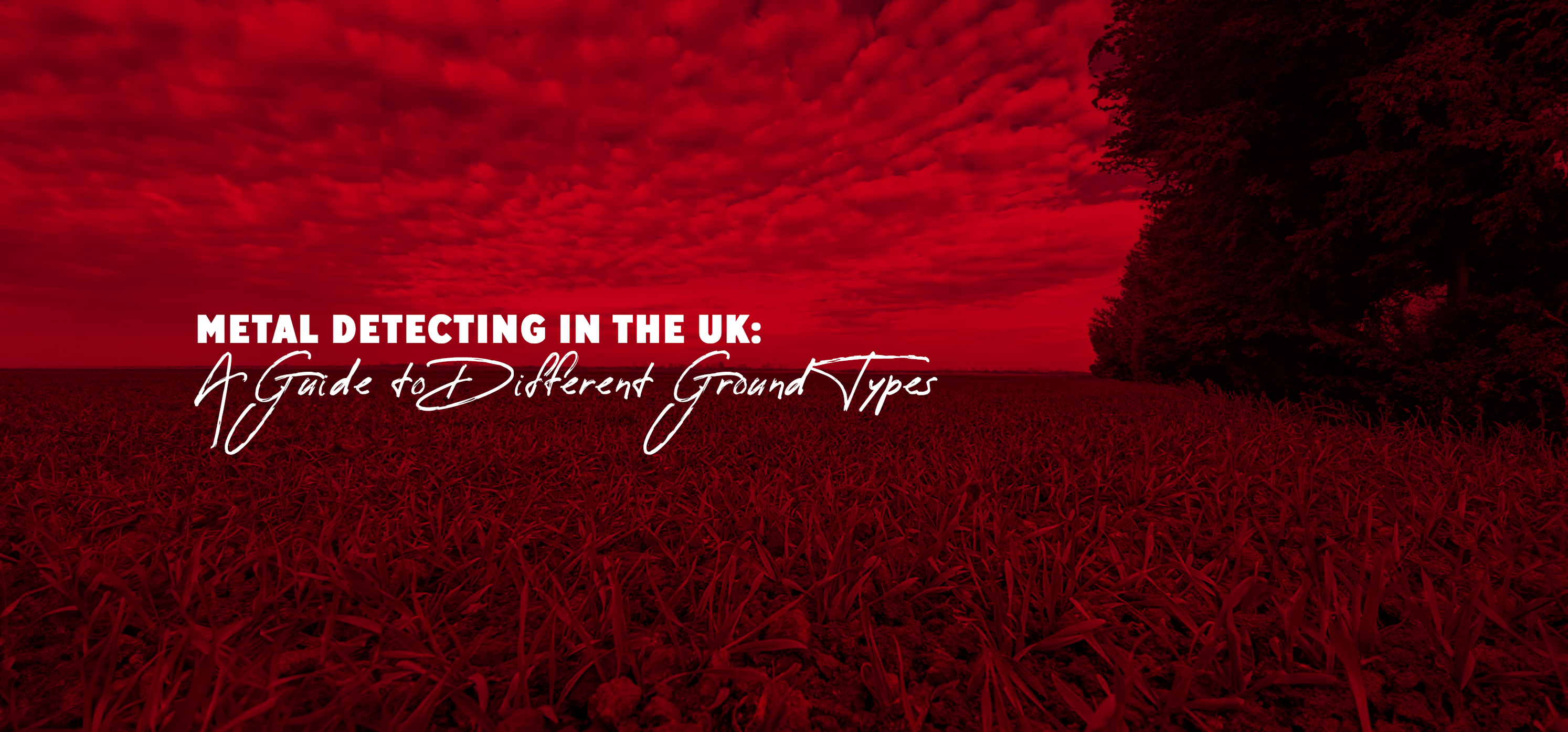Metal Detecting in the UK: A Guide to Different Ground Types — Dragon ...